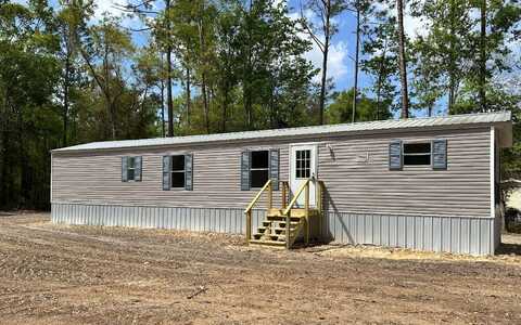 8986 180TH STREET, Mc Alpin, FL 32062