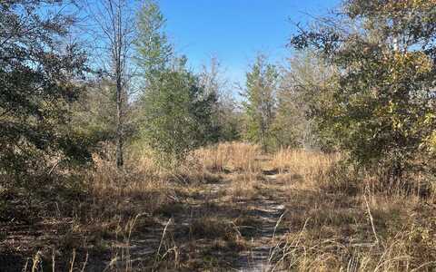 SW SW CR 141, Jasper, FL 32052