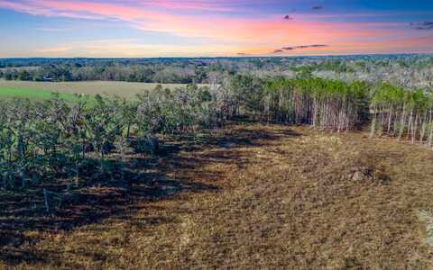 506 NW COACHWHIP AVE, Madison, FL 32340