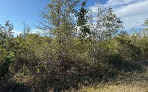 0 NW MCCALL TERRACE, Lake City, FL 32055