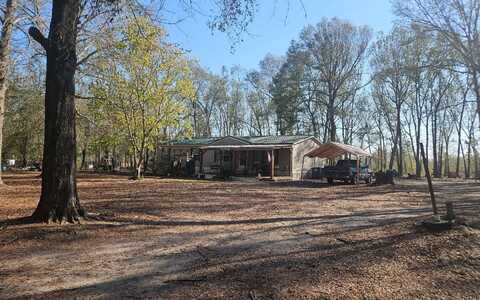 699 NE HILLSIDE TERRACE, Lee, FL 32059