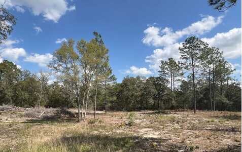 000 NE 134TH TERRACE, Williston, FL 32696