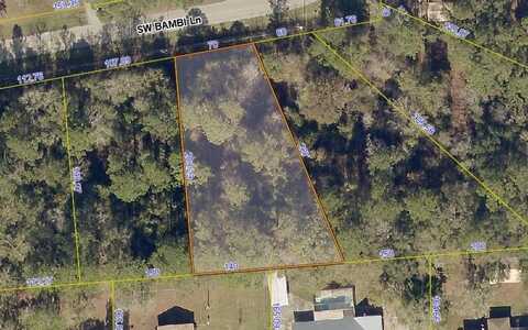 BAMBI LANE, Lake City, FL 32025