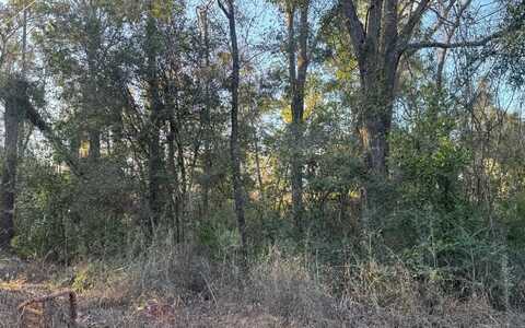 TBD SW 83RD AVE, Trenton, FL 32693