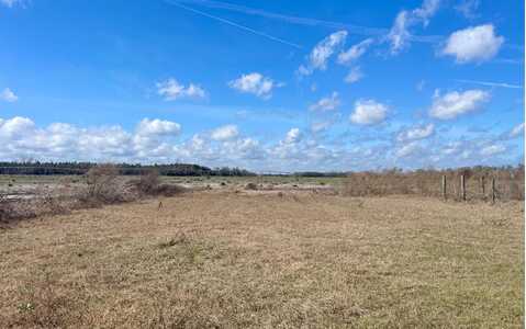 2340 SW CR 351, Mayo, FL 32066