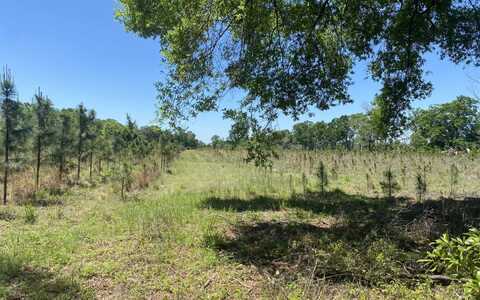 CR 49, Branford, FL 32008