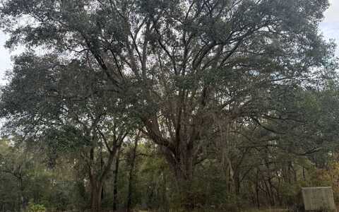 SW MCGRIFF LN & KAMAN, Lake City, FL 32024