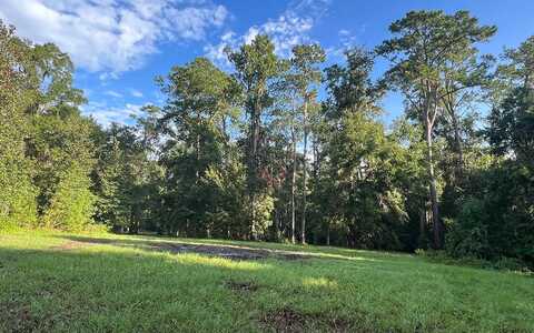 TBD SE PRICE CREEK LOOP, Lake City, FL 32025