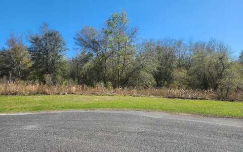 TBD 157TH POINT, Live Oak, FL 32060