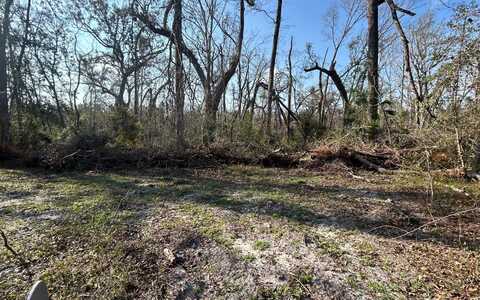 LT 61 188TH PL, Live Oak, FL 32060