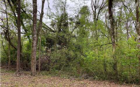 SW BUMBLE STREET, Fort White, FL 32038
