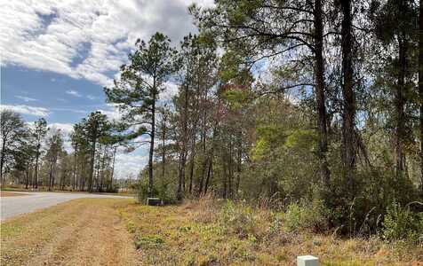 165 NW MOSSY OAK WAY, Lake City, FL 32055
