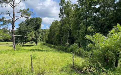 0 NW SUGARCANE PLACE, Lake City, FL 32055