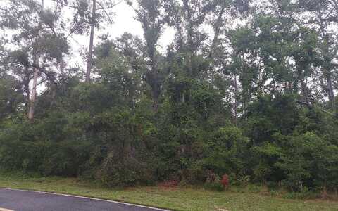 TBD WILDWOOD CIR- LOT 16, Dowling Park, FL 32064
