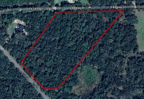 TBD SE CR 349, Lake City, FL 32025