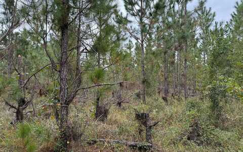 0 N US HWY 441, Lake City, FL 32055