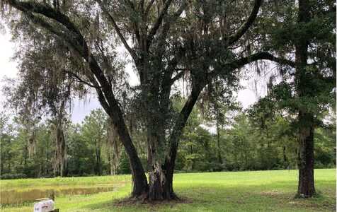 161 CHALLENGER LANE, Lake City, FL 32025