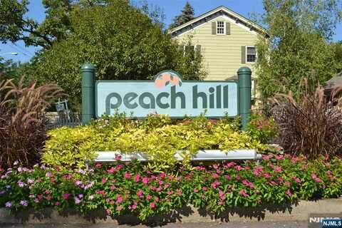 9 Peach Hill Court, Ramsey, NJ 07446