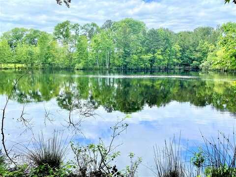887 Gilliland Creek Road, Huntington, TX 75949