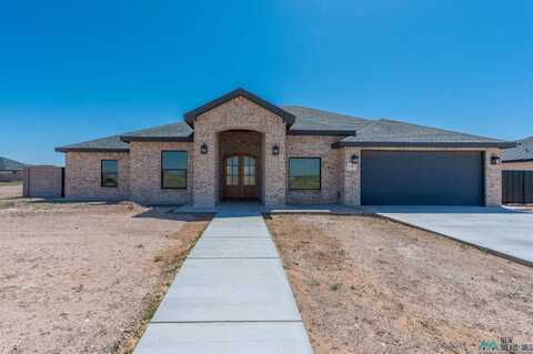 1101 N Eisenhower Road, Roswell, NM 88201