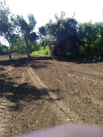 TBD DELACROIX Highway, Saint Bernard, LA 70085