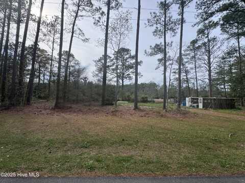 0 Pine Tree Lane, Mesic, NC 28515
