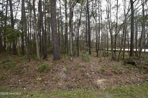 916 Bee Tree Court, New Bern, NC 28560