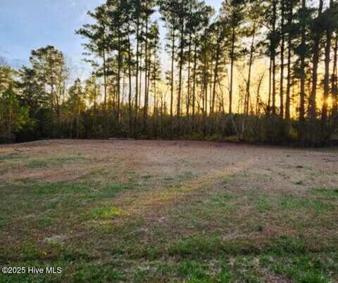 200 Hickory Street, Oriental, NC 28571
