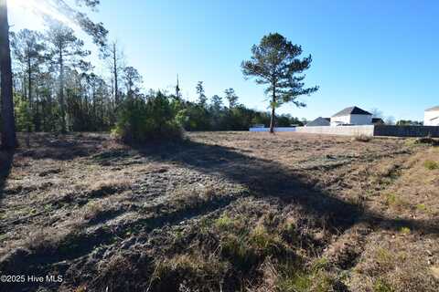 0 Warbler Drive, New Bern, NC 28560