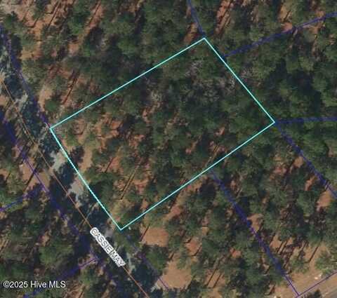 218 Cassie May Boulevard, Oriental, NC 28571