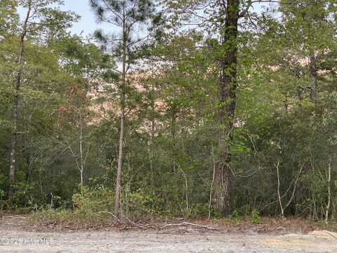2502 Starling Lane, New Bern, NC 28562