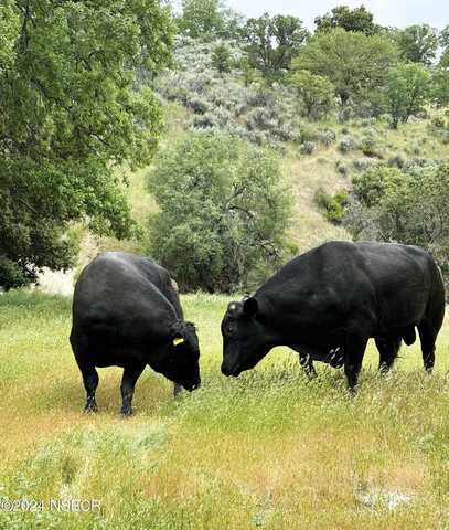 41500 Carmel Valley Road, Greenfield, CA 93927