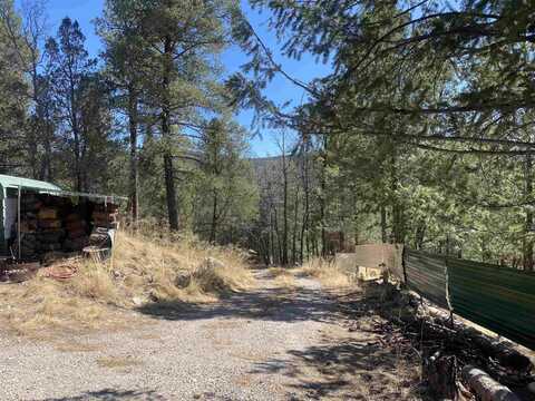 22 Sunflower Trl, Mayhill, NM 88339