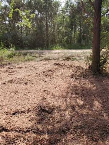 Tbd Shoshone Drive, Gordonville, TX 76245