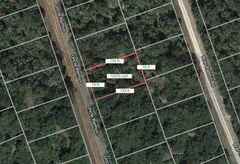 Lot 41 Uncle Remus, Normangee, TX 77871