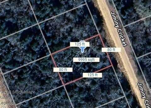 Lot 5 Jiminy Cricket, Normangee, TX 77871