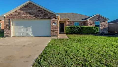 329 Meadow View Lane, Anna, TX 75409