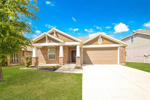 1525 Zebra Finch Drive, Little Elm, TX 75068