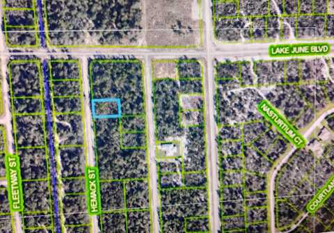 959 Hemack St, Lake Placid, FL 33852