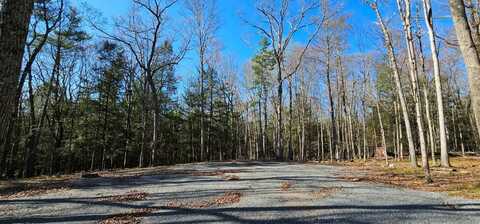 Lot 85 Perry Pond Road, Narrowsburg, NY 12764