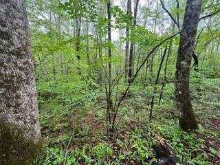 Lot 103 Bear Den Trl, Grandview, TN 37337