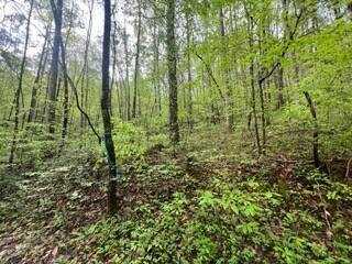 Lot 113 Bear Den Trl, Grandview, TN 37337