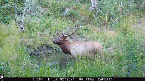 TBD Old Flowers Road, Bellvue, CO 80512