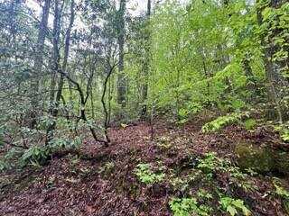 Lot 139 Bear Den Trl, Grandview, TN 37337