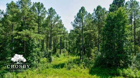 0 Jabez Poyner Road, Carlton, GA 30627