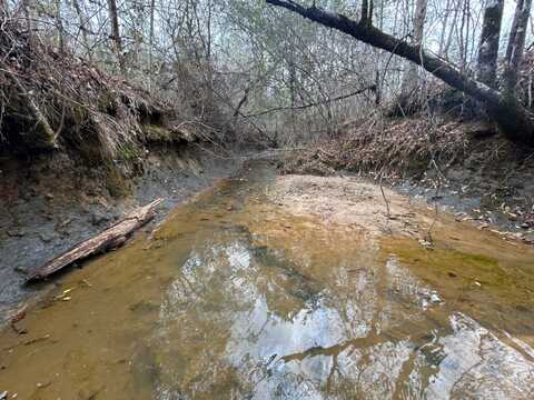 0 Springhill Road, Luverne, AL 36049