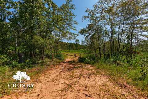 2 Jabez Poyner Road, Carlton, GA 30627