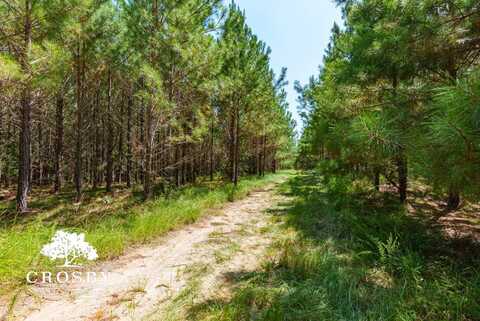 4 Jabez Poyner Rd, Carlton, GA 30627