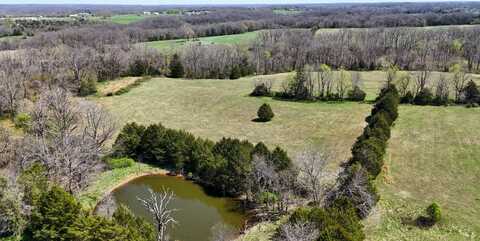 433 Morisset Drive, #Tracts 4,9, Sparta, MO 65753