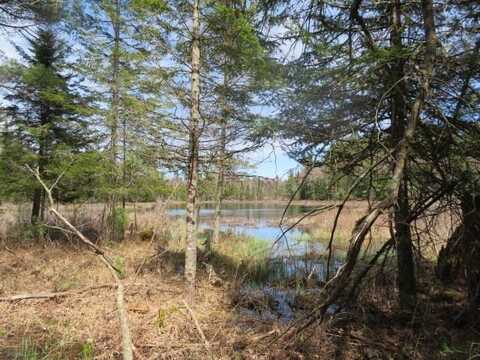 0 Moose River Rd, Port Leyden, NY 13433